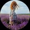 after_lavender